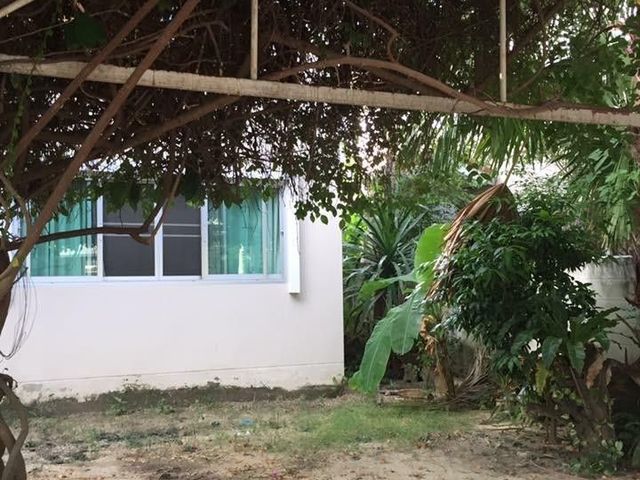 place photo 20