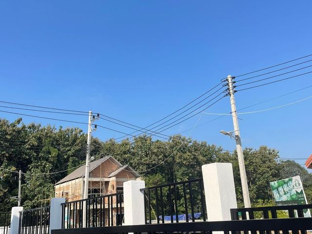 place photo 12
