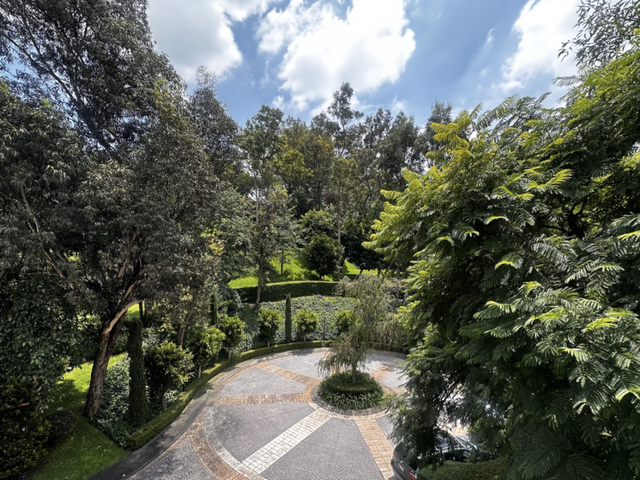 place photo 24