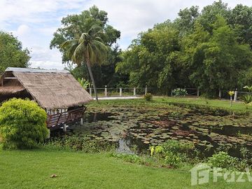 place photo 33