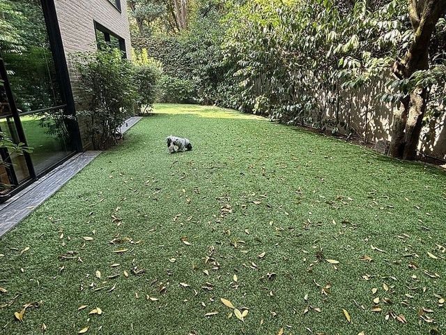 place photo 33