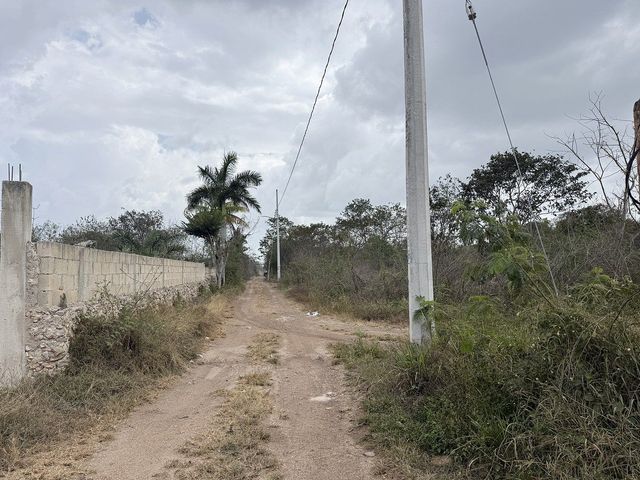 place photo 9