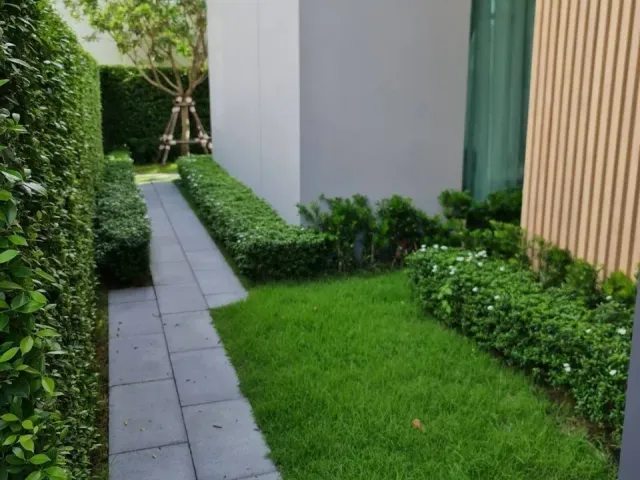 place photo 57