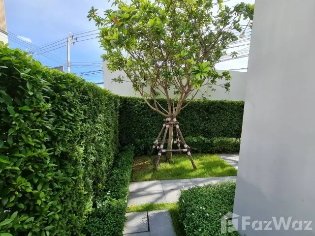 place photo 52