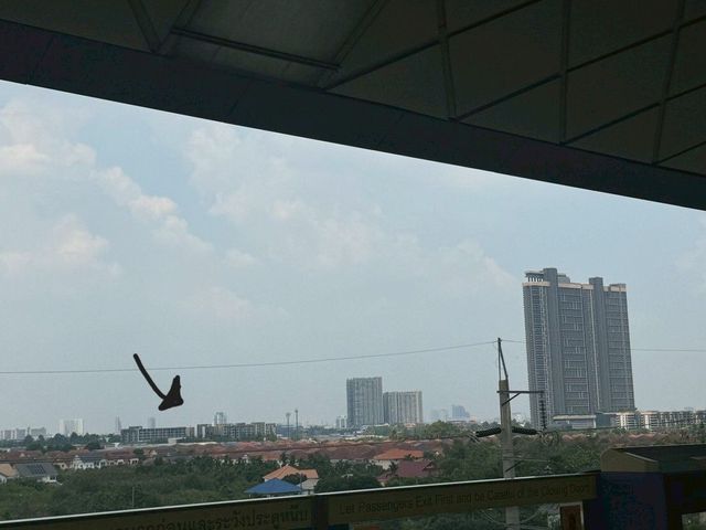 place photo 26