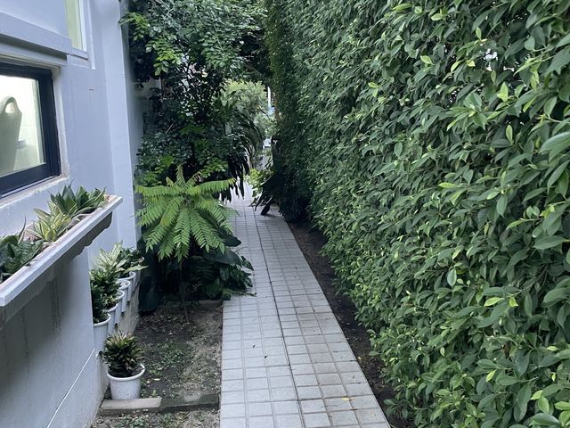 place photo 31