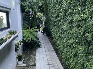 place photo 31