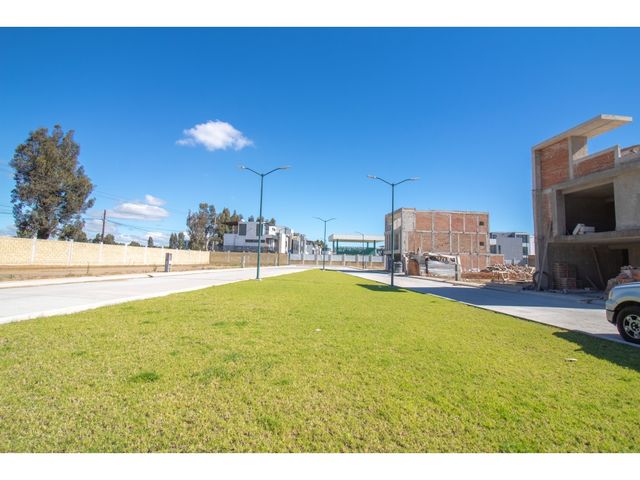 place photo 27