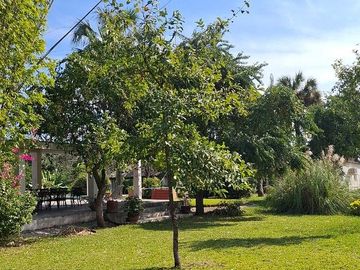 place photo 18