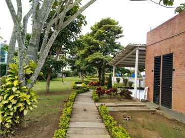 place photo 36
