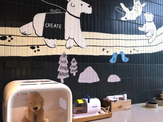 place photo 16