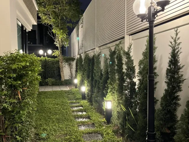 place photo 31