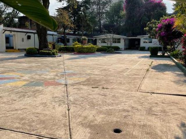 place photo 38