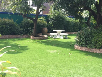 place photo 16