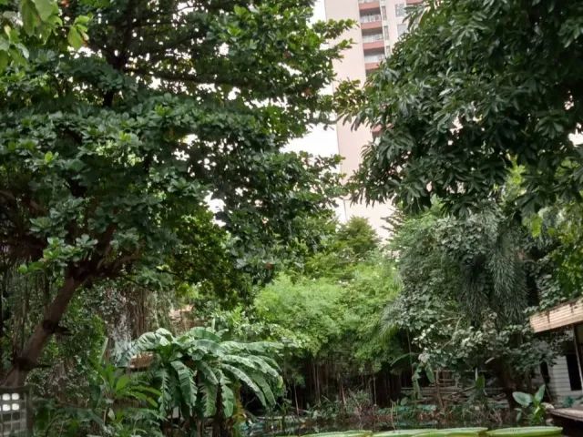 place photo 31
