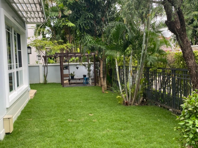 place photo 44