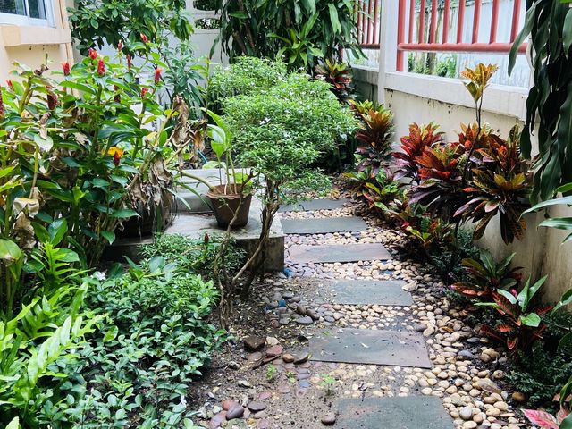 place photo 28