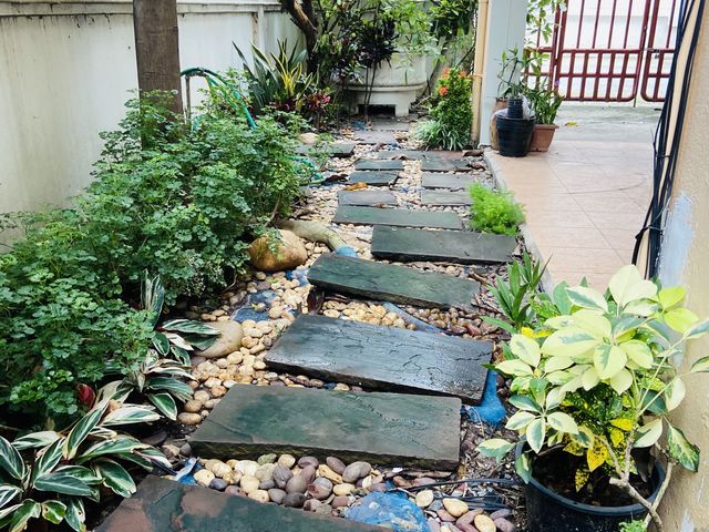 place photo 29