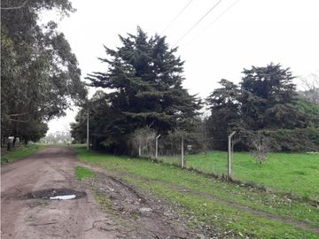 place photo 26