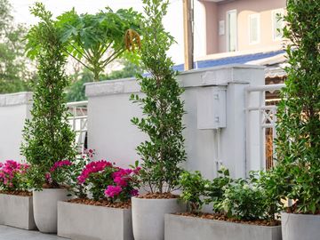 place photo 72