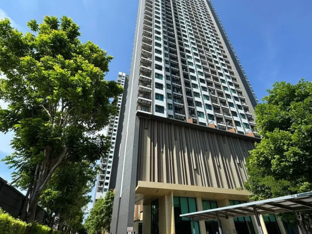 place photo 13