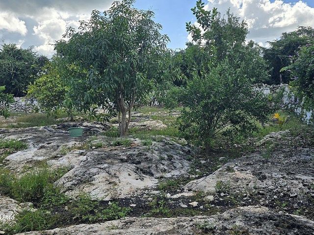 place photo 20