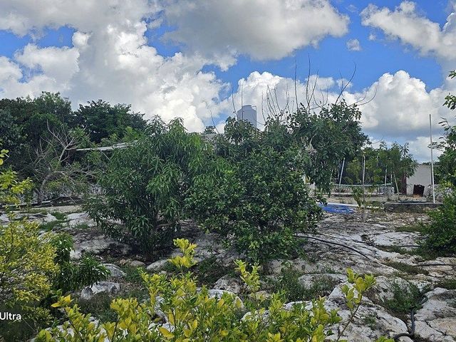 place photo 21