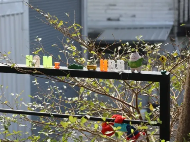 place photo 16