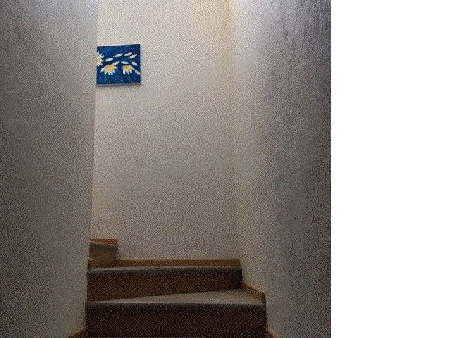 place photo 47