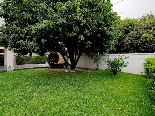 place photo 66