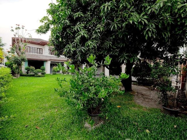 place photo 73