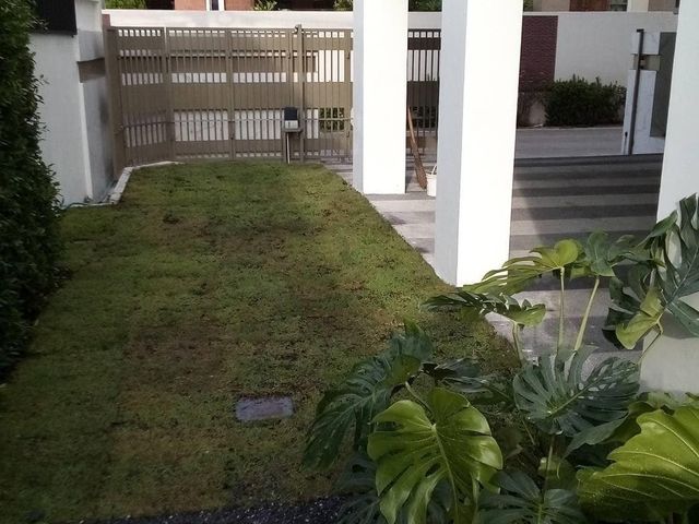 place photo 13