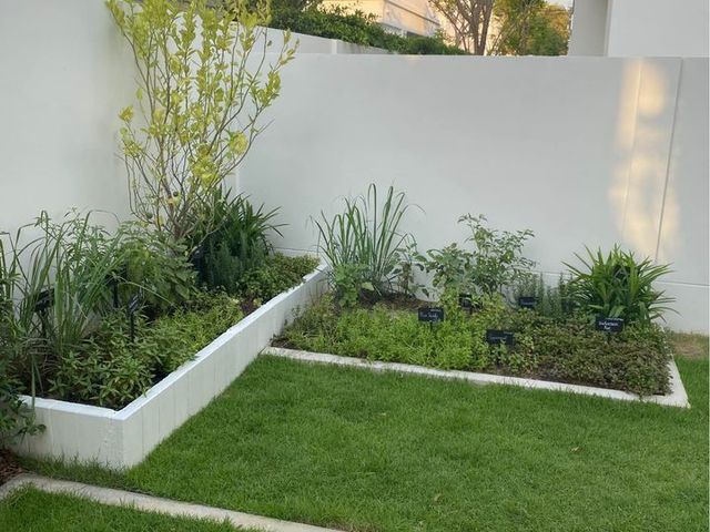 place photo 29