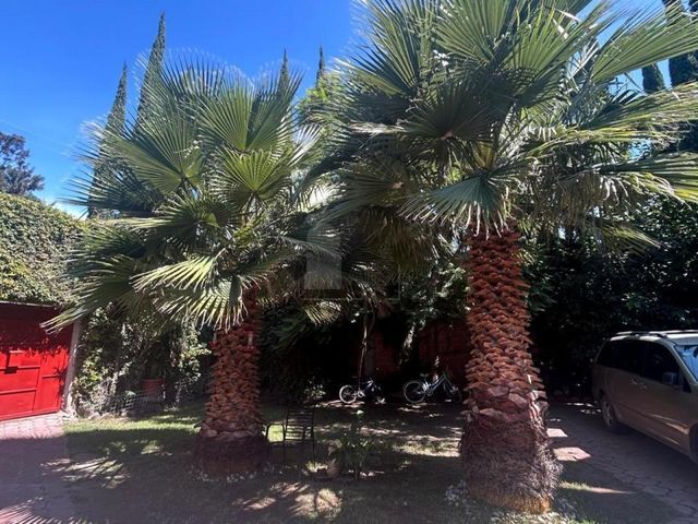place photo 29