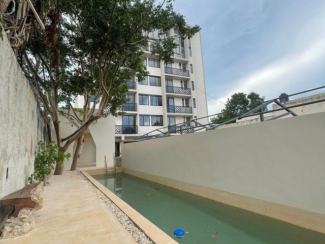 place photo 36