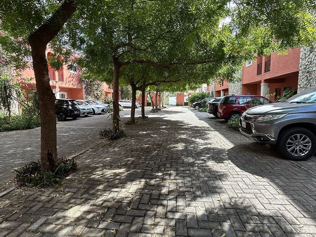 place photo 21