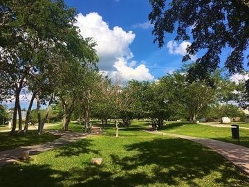 place photo 21