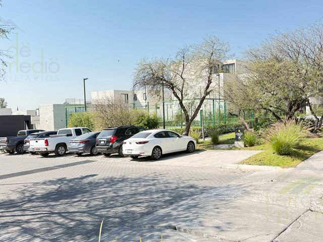 place photo 52