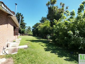place photo 34