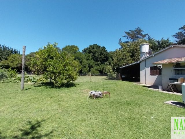 place photo 28