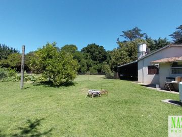 place photo 28