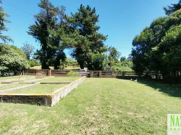 place photo 36