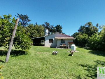 place photo 32