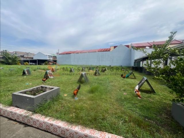 PVT2025-0051: Residential & Agricultural Lots for Sale in Las Piñas: 4,480 sqm: ₱127.6M