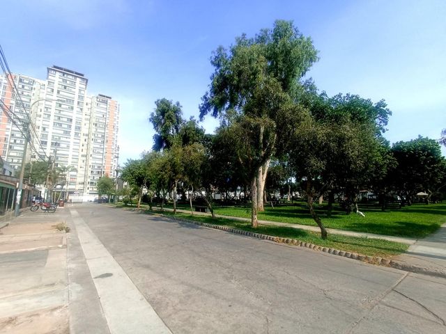 place photo 28