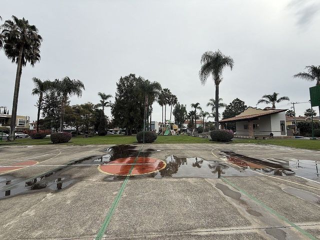 place photo 23