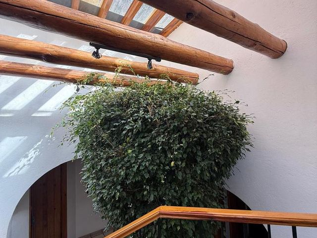 place photo 45