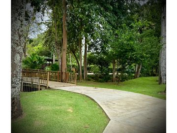 place photo 43