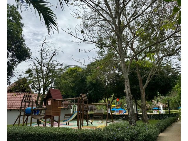 place photo 42