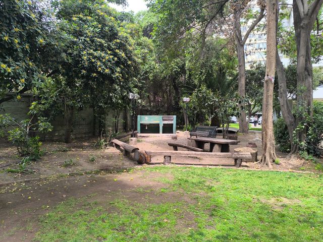 place photo 17